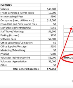 volunteer program budget
